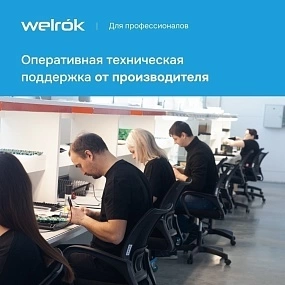 Детальное изображение товара "Реле напряжения Welrok PR bk" из каталога оборудования для видеонаблюдения